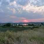 nature (2)