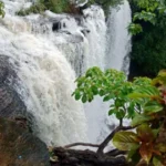 savatkada (3)